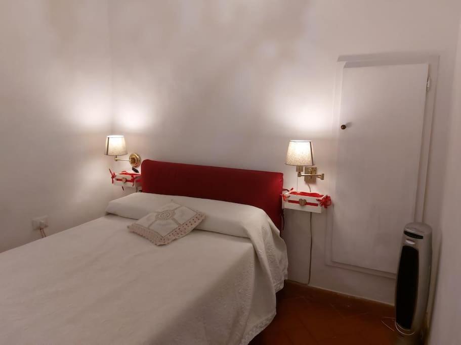 San Frediano Al 36 Daire Floransa Dış mekan fotoğraf